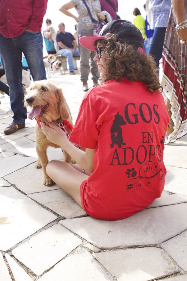 14116428035a DESFILADA CANINA SOLIDARIA 3.jpg